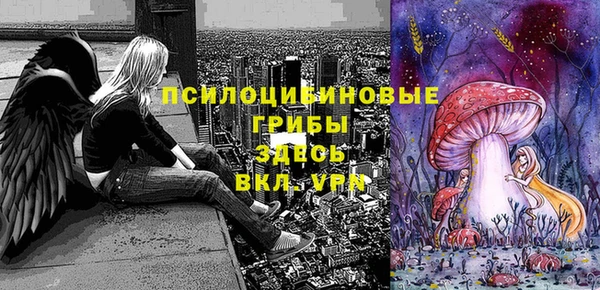 прущая мука Медногорск