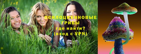 круглые Алзамай