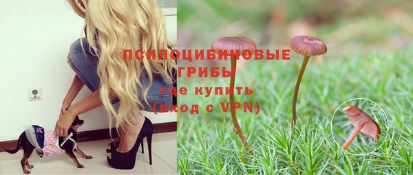 круглые Алзамай