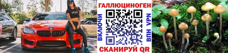 mega tor  что такое наркотик  Чернушка  Галлюциногенные грибы мухоморы 